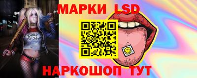 ПСИЛОЦИБИНОВЫЕ ГРИБЫ Сланцы
